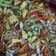 Cooksnap dari Dapoer Kia untuk resep Asinan Sayur