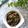 Cooksnap dari Suzanmomduor untuk resep Ketuyung masak kecap