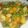 Kemmy Onchangu's cooksnap of when they made Green peas stew.