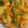 Preeti Chawla 's cooksnap of when they made Macaroni.