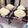 Cooksnap của Lê Hồ khi họ làm theo món Mousse thanh long đỏ