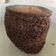 El cooksnap de Nina Reca cuando hizo Mug cake.