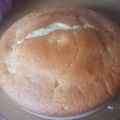 El cooksnap de Monica Cristina Torres.... cuando hizo Bizcochuelo de limón súper fácil y esponjoso😉.