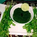 Nandita Mukherjee's cooksnap of when they made ধনেপাতার ভর্তা(dhonepatar bharta recipe in Bengali).