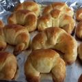 El cooksnap de Lucia Quevedo cuando hizo Medialunas caseras para freezar.