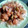 El cooksnap de edite_val cuando hizo Pechuga de pollo en salsa BBQ, sobre arroz blanco.