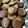 El cooksnap de Gabriela Alejandra Ceballos cuando hizo Cookies de Polenta, fácil, rápido y económico.