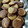 El cooksnap de Gabriela Alejandra Ceballos cuando hizo Cookies de Polenta, fácil, rápido y económico.