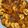 Cooksnap dari Holynuts Id untuk resep Udang Goreng Mentega Gampang Sekali