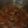 劉小牛 的 清燉牛肉湯 cooksnap