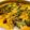 Nageena Anwar's cooksnap of when they made Curry pakora.