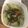 Cooksnap dari Mrs.Yulia Wilson ( Mommy's Simple Kitchen) untuk resep Kale Tumbuk Santan