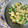 Cooksnap dari Ratih untuk resep Timun orek telor