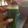Hemaxi Patel's cooksnap of when they made દૂધી - પાલક નું જ્યુસ (dudhi - palak nu juice recipe in Gujarati).