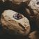 Cooksnap από Evelina Kln στη συνταγή Εύκολα Cookies με σοκολάτα