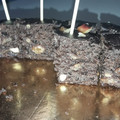 El cooksnap de masu cuando hizo Tarta Brownie de chocolate negro con nueces.