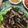 Cooksnap Ainur Munirah semasa beliau membuat Kambing Bakar Harimau Menangis.