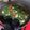 Cooksnap dari Kei Az2 untuk resep Oseng kacang panjang sederhana