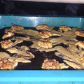 El cooksnap de Hernán Ignacio Torres Honorato cuando hizo Brownies de porotos negros🖤.