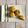 Vaidehi J Shah's cooksnap of when they made લીલવા વટાણા ની કચોરી(Lilava Vatana ni kachori recipe in Gujarati.