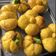 Cooksnap dari Dinda Prilia untuk resep Roti Labu (Pumpkin Bread)