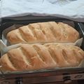 Cooksnap από Απόστολος Αθανασιάδης (LakySatan) στη συνταγή Το πιο εύκολο ψωμί