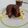 El cooksnap de Raquel cuando hizo Mug cake de avena y fruta.