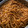 El cooksnap de Brayan Cruz cuando hizo Spaghetti con crema de chipotle y salchichas.