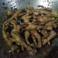Cooksnap dari sisca rosalina untuk resep •Ceker Ayam Mercon• by Dapur Itha