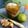 Cooksnap dari ayomi untuk resep Wedang Rempah Kelapa Muda Ijo