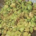 Manoj gokhale का कुकस्नैप जब उन्होंने हरी मिर्च का अचार (Hari mirch ka achar recipe in Hindi) बनाया था।
