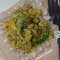 Khyati's Kitchen's cooksnap of when they made દૂધી મિક્સ ભાજીના મુઠિયા (Dudhi Mix Bhaji Muthiya Recipe In Gujarati).