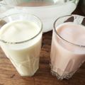 Maggie Karis's cooksnap of when they made Home made Yogurt.