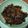 Cooksnap dari Yeni Mella Sari untuk resep Balado Kering Paru