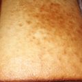 El cooksnap de Valentina Melo cuando hizo Torta rápida de limón 🍋.