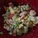 Cooksnap dari Melina Suhady untuk resep Avocado Prawn Salad