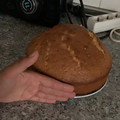 Sam Benavides's cooksnap of when they made Bizcocho con azúcar de caña y solo 2 huevos.