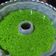 Cooksnap dari Rifa rinkaro untuk resep Puding Lumut Hijau Daun Pandan