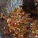 Cooksnap dari Hani Mulia untuk resep *Sambal Pecak Betawi*