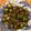 Thomas Guy's cooksnap of when they made Roasted Brussel Sprouts.