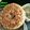 Meena Parajuli's cooksnap of when they made Ghevar.