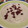El cooksnap de Jesus Carranza cuando hizo Crema de Coliflor al Vino Blanco con Crujiente de Serrano.