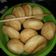 Cooksnap dari hani handriani untuk resep Donat Klasik (Tepung Protein Sedang)