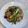 Ellen Lien 的 豆包炒川耳菇菇 cooksnap