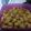 Cooksnap dari Nink Ajah untuk resep Kue garpu renyah tanpa telur