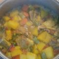 El cooksnap de Annabella Martín Corona cuando hizo Estofado de pollo.