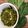 NEHAL SULE's cooksnap of when they made Chana Hariyali / Choliya Curry.