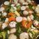 Cooksnap dari Asmi Adhelina untuk resep Sup Bakso Ikan