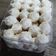 Cooksnap dari Putri untuk resep 🌸 Putri Salju Keju Lumer