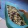 Cooksnap dari Suri untuk resep Stup Roti
